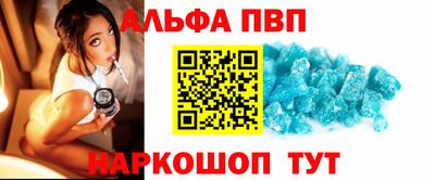 стаф Гай