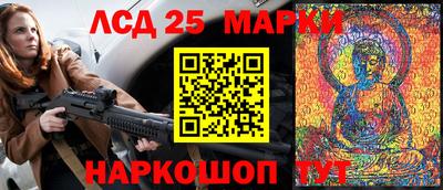стаф Гай