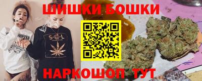 стаф Гай