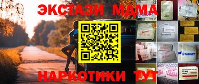 стаф Гай