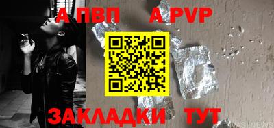 стаф Гай
