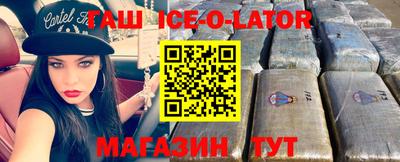 стаф Гай