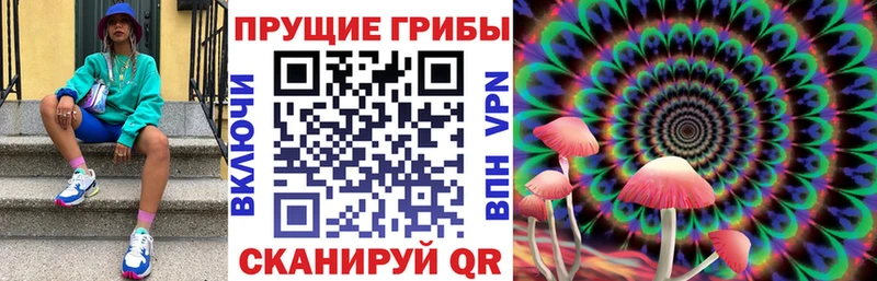 Псилоцибиновые грибы прущие грибы  наркошоп  Урус-Мартан 