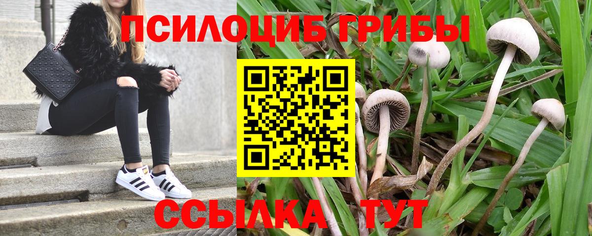 MDMA  ТГК  Гашиш  КОКАИН  МЕФ кристаллы  Alpha-PVP СОЛЬ кристаллы  Урус-Мартан  Мефедрон   ГАШ  МАРИХУАНА 