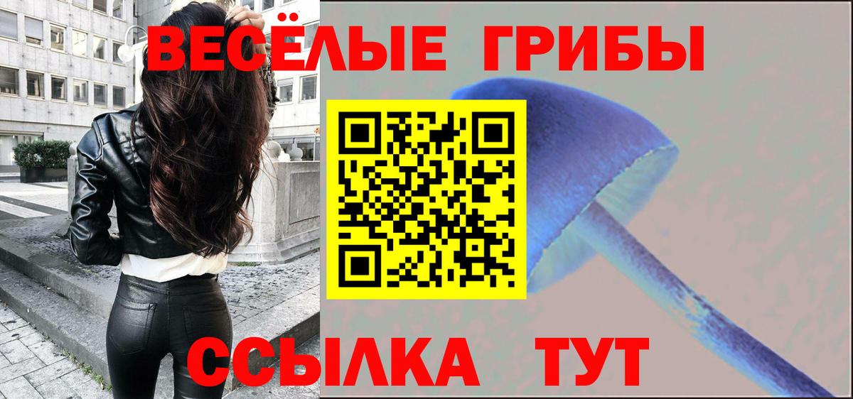 Галлюциногенные грибы Psilocybine cubensis Урус-Мартан