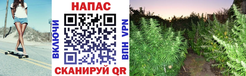 МАРИХУАНА THC 21%  где можно купить   Урус-Мартан 